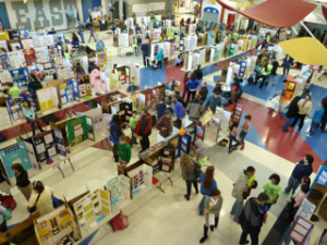 2015displays